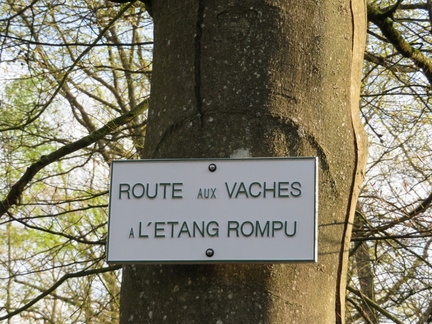 Rambouillet 16 04 2017-15
