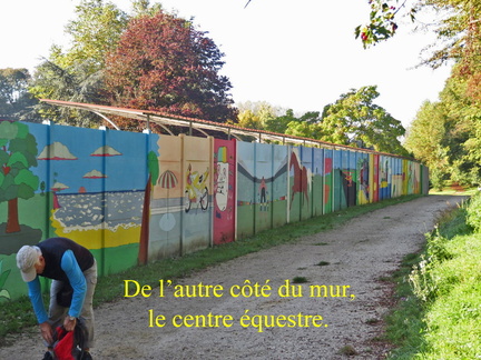 Mareau-Estouy 15 10 2017-46