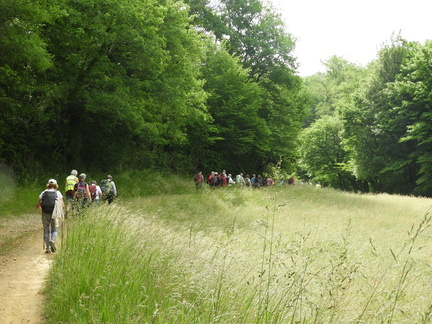 6-Marsales-Groupe de rando cheminant sur le chemin de Fontenelle (2)