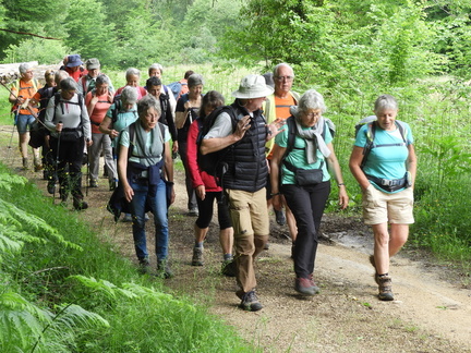 6-Marsales-Groupe de rando cheminant sur le chemin de Fontenelle (9)