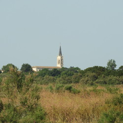 Ile de Ré -  23 au 30 mai 2026